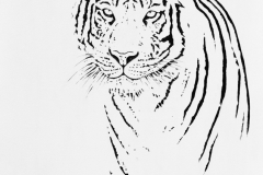 Bengal Tiger #1