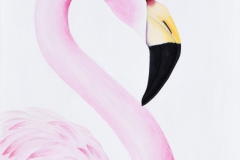Andean Flamingo #1