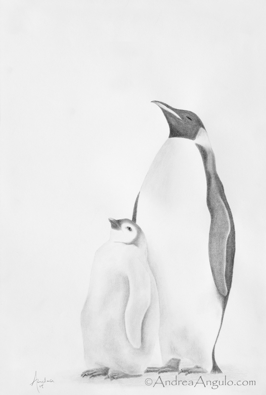 Emperor Penguin #2