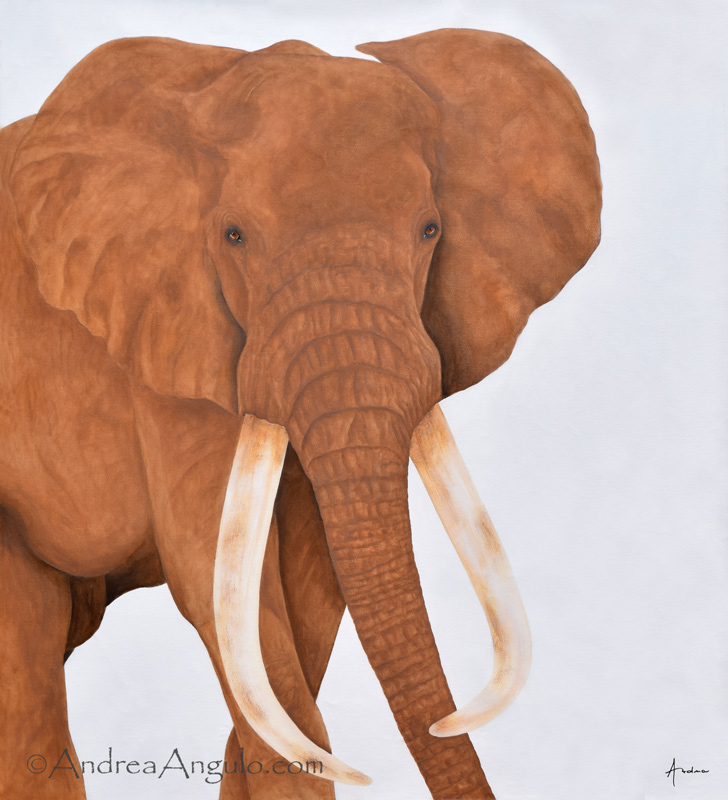 Satao - African Elephant #2