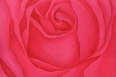 Rose #1