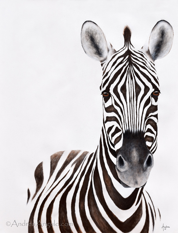 Plains Zebra #1
