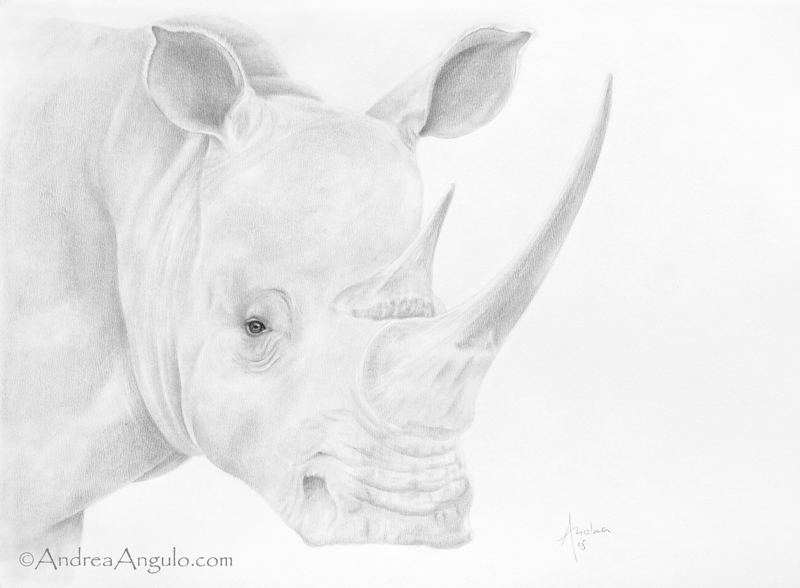 White Rhinocero #1